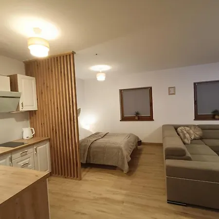 Dwa Slonca Apartment Gliczarow