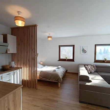 Dwa Slonca Apartment Gliczarow
